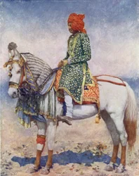 Un caballo de actuación del estado de Alwar